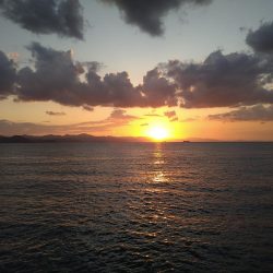 エギ王Kが大活躍